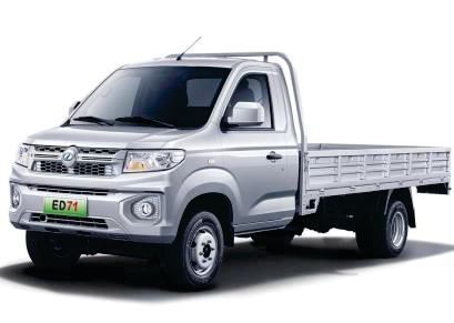 Mini truck